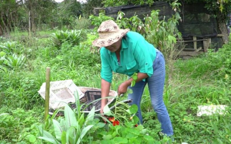 Agricultores tg